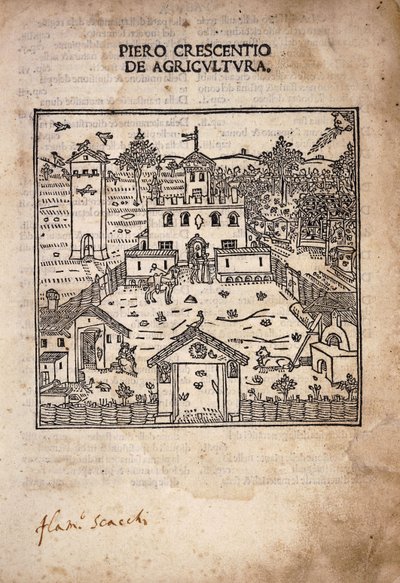 Ilustrowana strona tytułowa z „De Agricultura” autorstwa Italian School