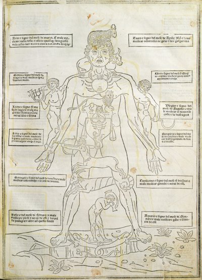 Ilustracja z „Fassiculus Medicinae” Wenecja autorstwa Italian School