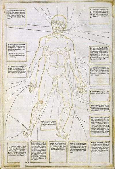 Ilustracja z „Fassiculus Medicinae” Wenecja autorstwa Italian School