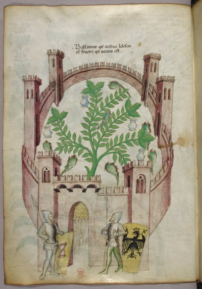 Ilustracja przedstawiająca ogród balsamowy w Kairze (Fustat), z siedmioma basenami z wodą i dzbanami do łapania balsamu, rośliną w centrum, z dwoma rycerzami w zbrojach flankującymi bramę, z tarczami z heraldycznymi ramionami, ok. 1440 r. (tusz i kolor na  autorstwa Italian School