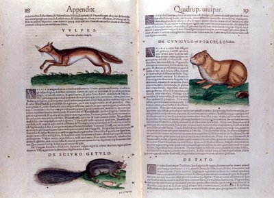 Ilustracje z „Historii Animalium” Conrada Gesnera autorstwa Italian School