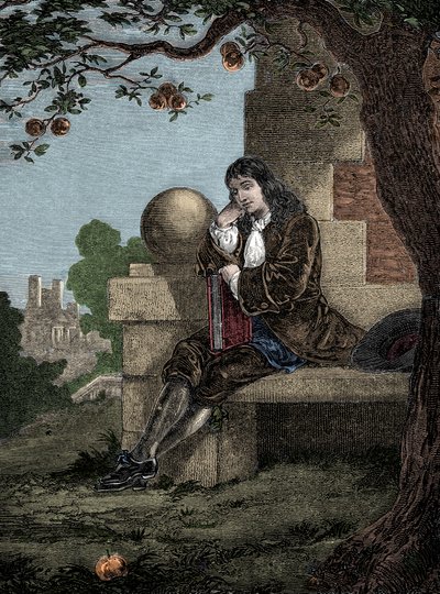 Isaac Newton siedzący pod drzewem obserwuje spadające jabłko na ziemię autorstwa Italian School