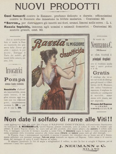 J Neumann i C (druk kolorowy) autorstwa Italian School