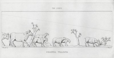 Kolumna Trajana, Kolumna Trajana (rycina) autorstwa Italian School