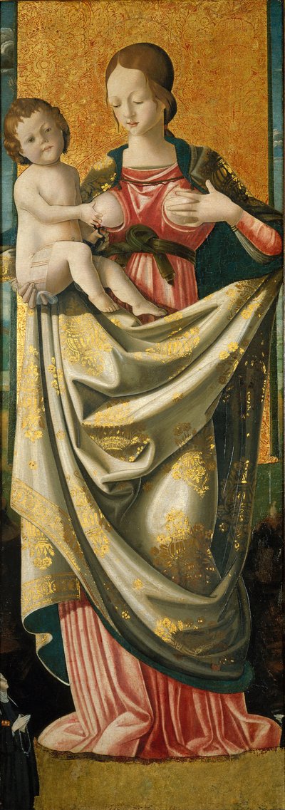 Madonna del Suffragio, ok. 1520 (tempera na panelu z twardego drewna) autorstwa Italian School