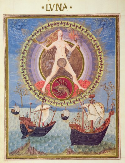 Pani 