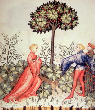 Nova 2644 fol.24r Musztarda Zbiorowa, z Tacuinum Sanitatis autorstwa Italian School