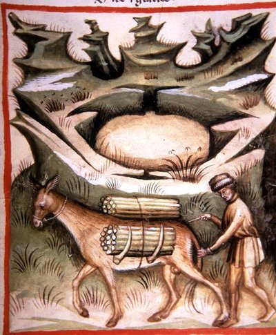 Nova 2644 fol.90r Śnieg i lód, z 