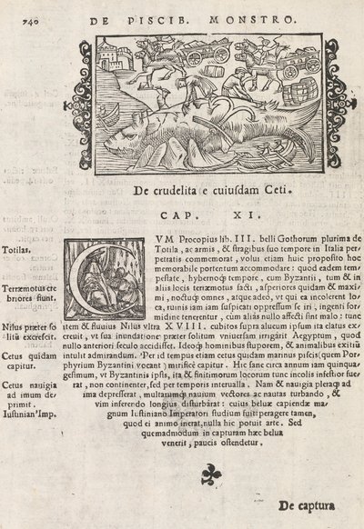 Strona 740 z Historii Północy Magnusa Olausa, Rzym 1565 (druk i grawerowanie) autorstwa Italian School
