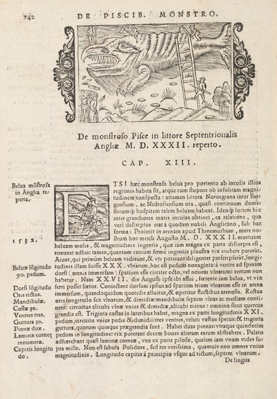 Strona 742 z History of the Northern Gentivus autorstwa Magnusa Olausa, Rzym 1565 (druk i grawerowanie) autorstwa Italian School