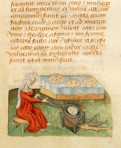 Strona z Tractatus de Herbis autorstwa Dioscoridesa Pedanius autorstwa Italian School