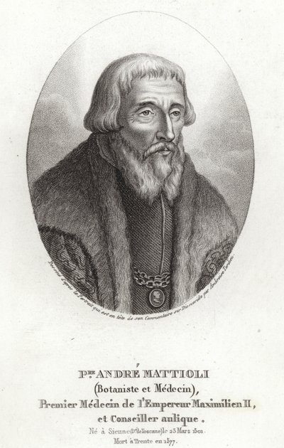 Pietro Andrea Mattioli autorstwa Italian School