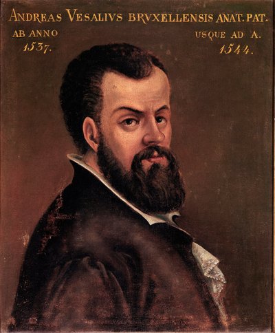 Portret Andre Vesale (Andreas Vesalius) (1514-1564), anatom i lekarz anonimowego malarstwa Karola V szkoły włoskiej. XVI-wieczna Padwa, Uniwersytet autorstwa Italian School