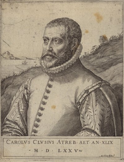 Portret Carolusa Clusiusa autorstwa Italian School