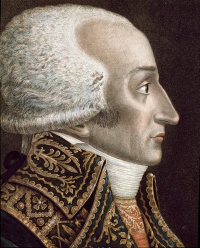 Portret Francesco Melzi D