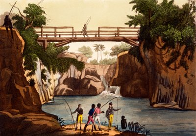 Rzeka Roccie w pobliżu San Benedetto, Wyspa Madagaskar, z kostiumów ... Giulio Ferrario, ok. 1820-30 autorstwa Italian School