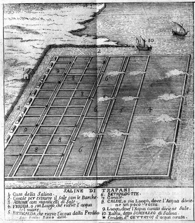 Słone bagna w Trapani. ilustrowana plansza zaczerpnięta z „”Obecny stan Sycylii”” autorstwa Arcangelo Leanti, Palermo 1761 autorstwa Italian School