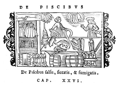 Solenie, suszenie i wędzenie ryb, ilustracja z Historia de Gentibus Septentrionalibus Olausa Magnusa (1490-1558), opublikowana w Rzymie, 1555 autorstwa Italian School