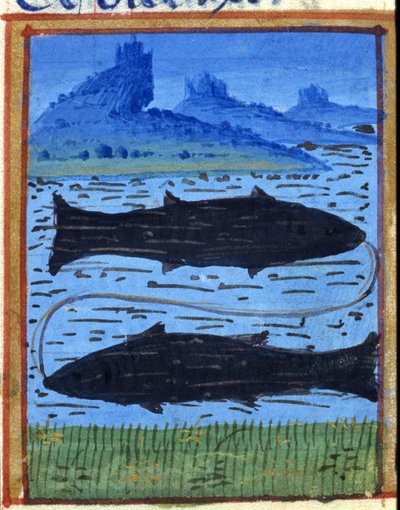 Znak ryb. Horoskop włoski, połowa XV wieku. autorstwa Italian School