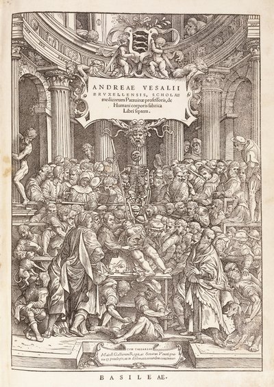 Autor przeprowadzający sekcję anatomiczną w Teatrze Chirurgicznym, 1543 autorstwa Italian School