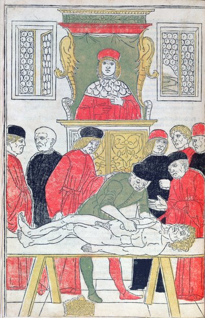 Rozcięcie, ilustracja z „Fasciculus Medicinae” Johannesa de Ketham (zm. 1490) 1493 (drzewryt) autorstwa Italian School