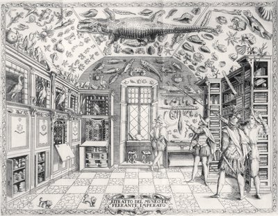 Muzeum Historii Naturalnej Cesarza Ferdynanda III z Historii Naturale Ferrante Imperato (1550-1631) wyd. w 1672 autorstwa Italian School