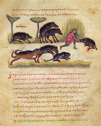 Traktat o dziku: życie, krycie, polowanie, ilustracja z Cynegetyki Oppiana (tempera na welinie) autorstwa Italian School