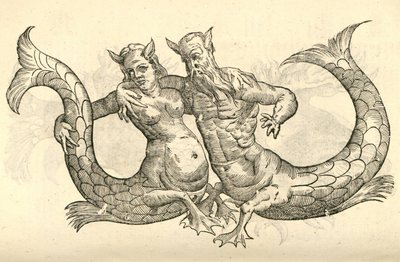 ilustracja Monstra Niliaca Parei z Aldrovandis History of Monsters , 1642 autorstwa Italian School