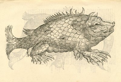 ilustracja Monstrosus Sur marinus z Aldrovandis Historia potworów, 1642 autorstwa Italian School