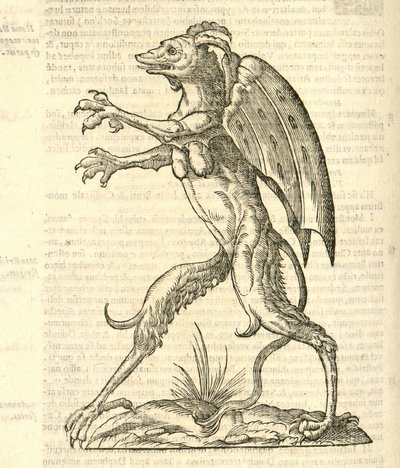 ilustracja przedstawiająca skrzydlatego i rogatego potwora jak demon z Aldrovandis History of Monsters, 1642 autorstwa Italian School
