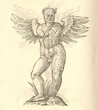ilustracja przedstawiająca skrzydlatego potwora z „Historii potworów Aldrovandisa”, 1642 r. autorstwa Italian School
