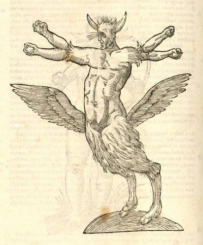 ilustracja potwora z Aldrovandis Historia potworów, 1642 autorstwa Italian School