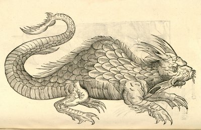 ilustracja przedstawiająca wizerunki Orobonisa Piscisa z „Historii potworów Aldrovandisa”, 1642 r autorstwa Italian School