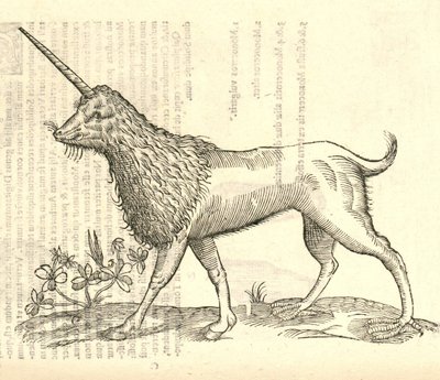 ilustracja przedstawiająca Camphurch z Aldrovandis History of Monsters , 1642 autorstwa Italian School