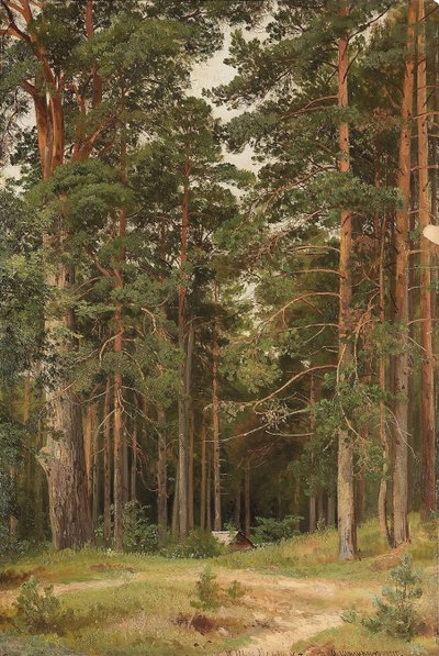 Letni dzień, Merikiul, 1895 autorstwa Ivan Ivanovich Shishkin