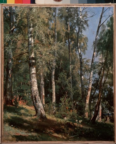 Brzozowy gaj (brzozowy gaj) - Obraz Iwana Iwanowicza Szyszkina (Sziszkina) (1832-1898), olej na płótnie autorstwa Ivan Ivanovich Shishkin