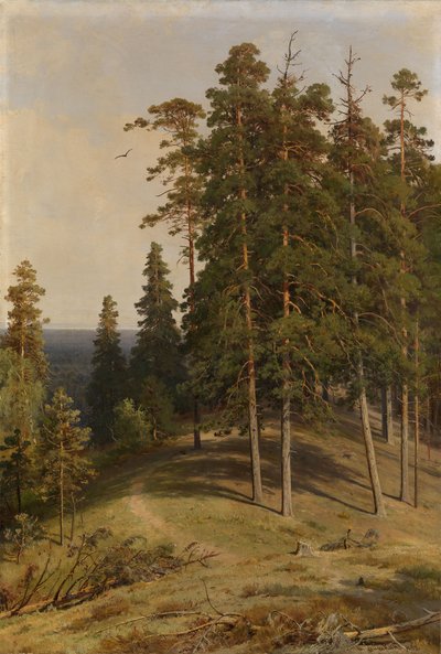 Las sosnowy, 1895 autorstwa Ivan Ivanovich Shishkin