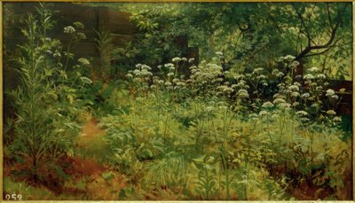 Gierscha. Pargołowo autorstwa Ivan Ivanovich Shishkin