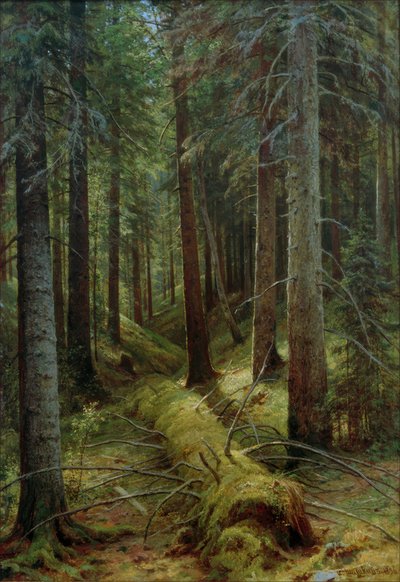 W rosyjskim lesie autorstwa Ivan Ivanovich Shishkin