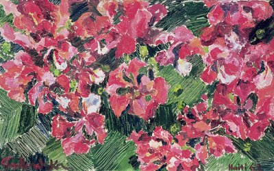 Rododendron, 1962 autorstwa Izabella Godlewska de Aranda