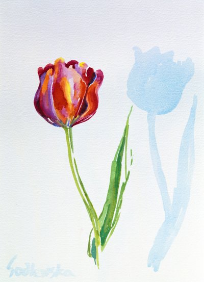Tulip, 1998 (wc na papierze) (patrz także 124446 i 124447) autorstwa Izabella Godlewska de Aranda