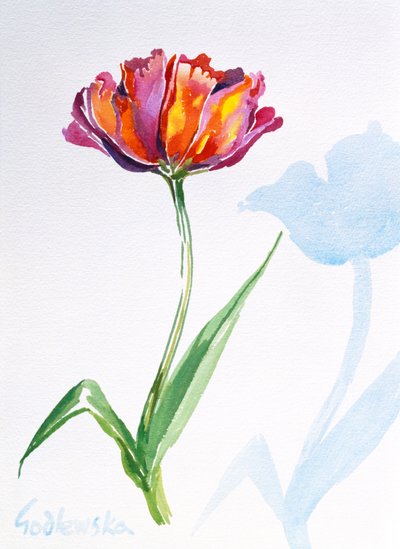 Tulip, 1998 (wc na papierze) (patrz także 124446 i 124448) autorstwa Izabella Godlewska de Aranda