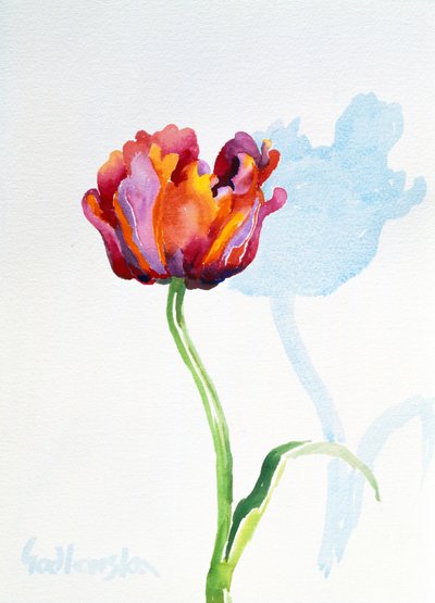 Tulip, 1998 (wc na papierze) (patrz także 124446 i 124448) autorstwa Izabella Godlewska de Aranda