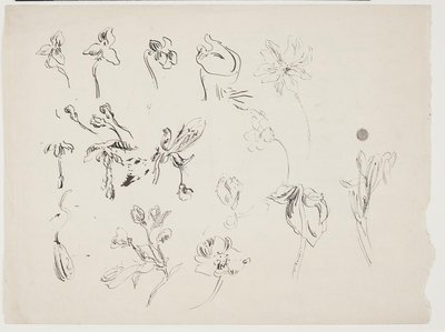 Blomsterskitser   1267039   pl       polish Successfully Translated  Original: Wanaus, Tuscarora Indian Translat: Wanaus, Tuscarora Indian 1225056 pl polish Successfully Translated Original: Autumn Hilltop, New England Translat: Autumn Hilltop, New England autorstwa J.A. Jerichau