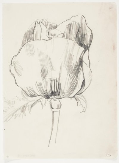 MAK autorstwa J.A. Jerichau
