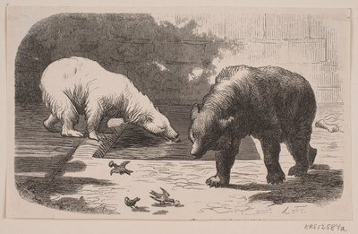 Niedźwiedzie w Jardin des Plantes autorstwa J.C. Nielsen