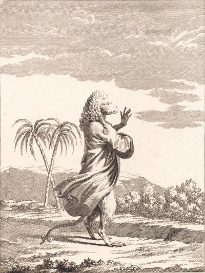 Małpi kot martynyjski autorstwa J.F. Clemens