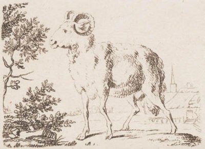 baran autorstwa J.F. Clemens