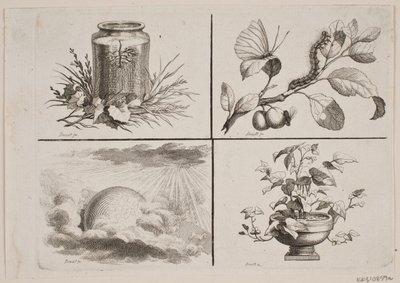 Winiety do prac Bonneta autorstwa J.F. Clemens