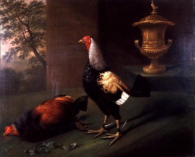 Portret „Zjawiska”, srebrnego kogucia noszącego ostrogi i stojącego nad swoją ofiarą autorstwa J.F. Wilson